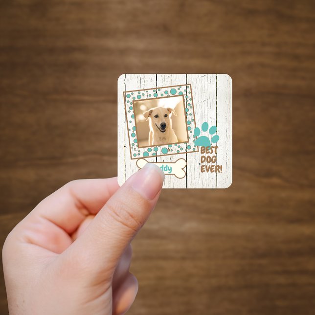 Pet Dog Photo Scrapbook Square Sticker (Creator Uploaded)