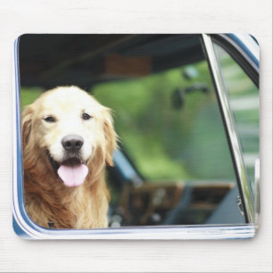 Pet dog sitting in a car mouse mat