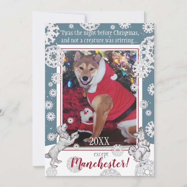 Pet Dog Snowflake Funny Animal Christmas Photo Holiday Card (Front)