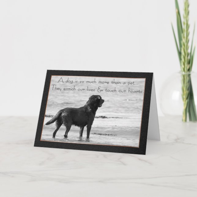Pet Dog Sympathy Card - Touch Our Hearts (Front)