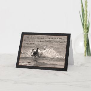 Pet Dog Sympathy Card - Touch Our Hearts