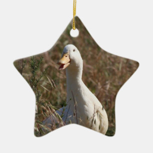 Pet Duck Ornament