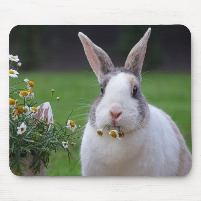 Pet Dutch Bunny Rabbit with Flowers Mouse Mat (Front)