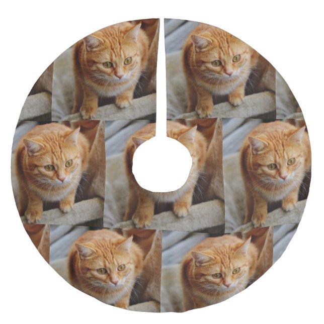 Pet Family Photo Customise Christmas Holiday Brushed Polyester Tree Skirt (Front)