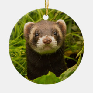 Pet Ferret in the Grass Ceramic Tree Decoration