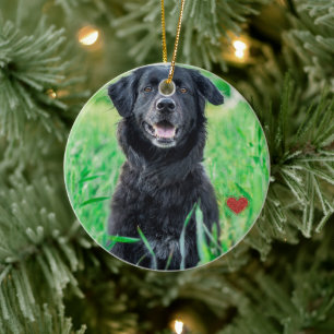 Pet First Christmas Photo Name  Ceramic Tree Decoration