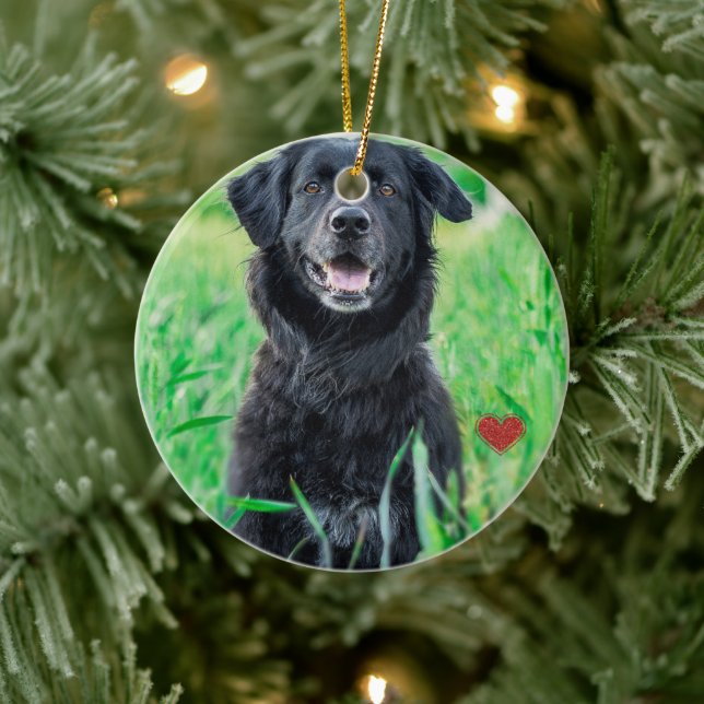 Pet First Christmas Photo Name  Ceramic Tree Decoration (Tree)
