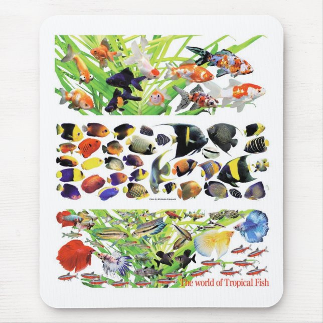 Pet fish loversのためのマウスパッド,No.01 Mouse Mat (Front)