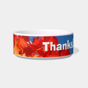 Pet Food Bowl Thanks! Autumn Leaves Blue Sky