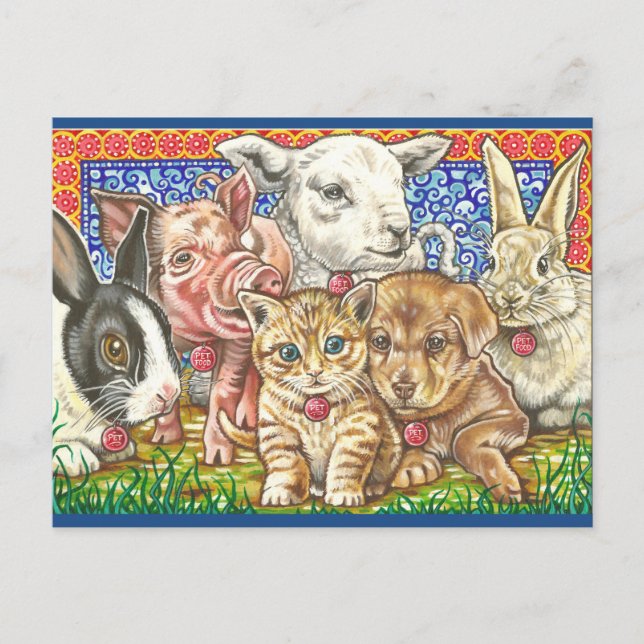 'Pet; Food.' Postcard (Front)