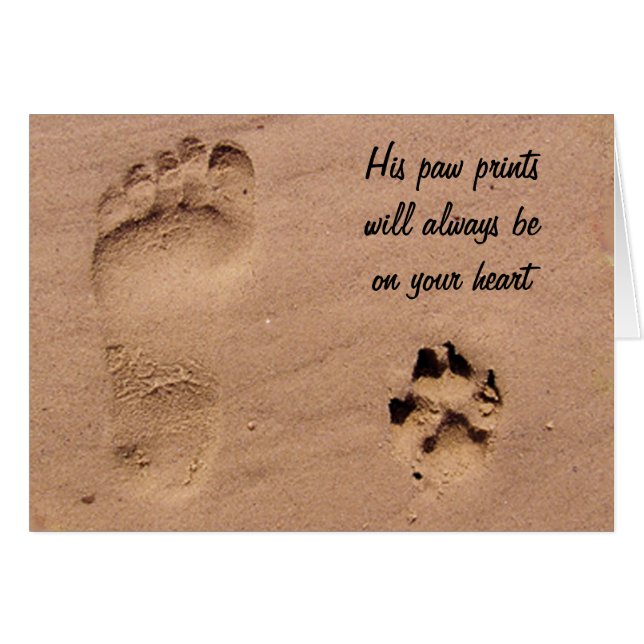Pet & Footprint in the Sand (Front Horizontal)