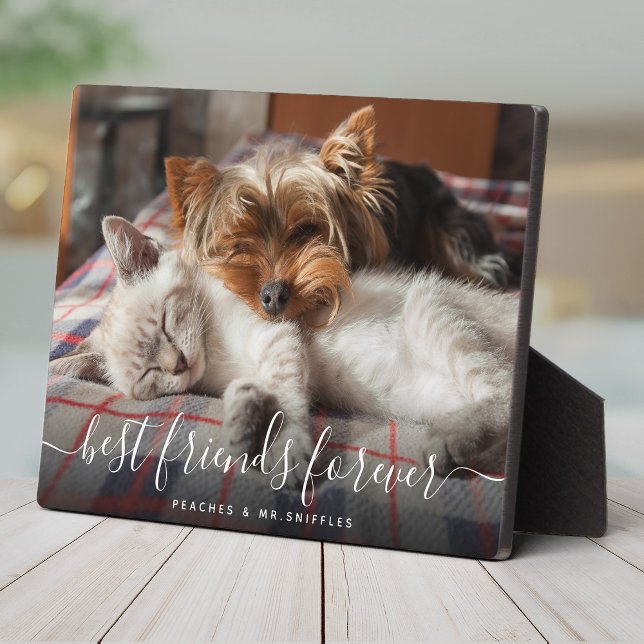 Pet Friends Best Friends Forever BFF Besties Photo Plaque (Creator Uploaded)