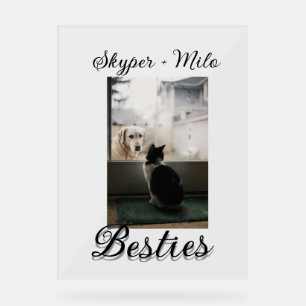 Pet friends besties add name pet photo animal love acrylic sign