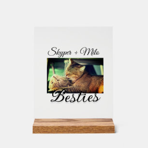Pet friends besties add name pet photo animal love acrylic sign