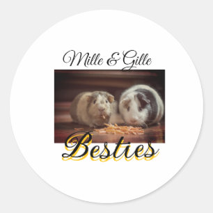 Pet friends besties add name pet photo animal love classic round sticker