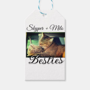 Pet friends besties add name pet photo animal love gift tags