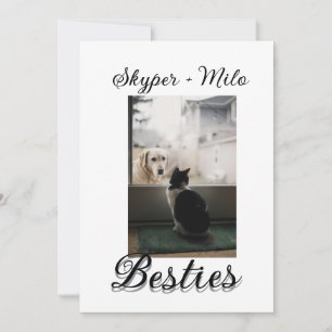 Pet friends besties add name pet photo animal love invitation