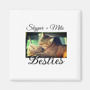 Pet friends besties add name pet photo animal love magnet