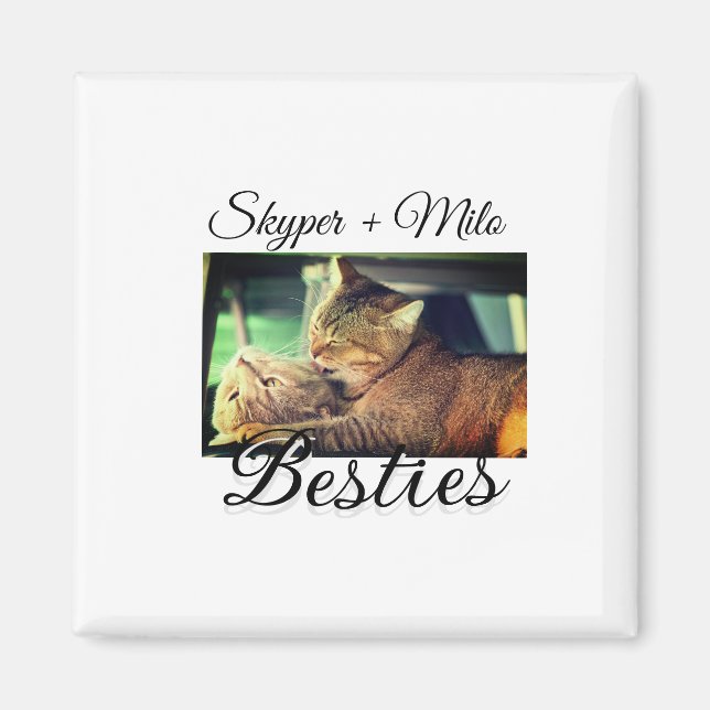 Pet friends besties add name pet photo animal love magnet (Front)