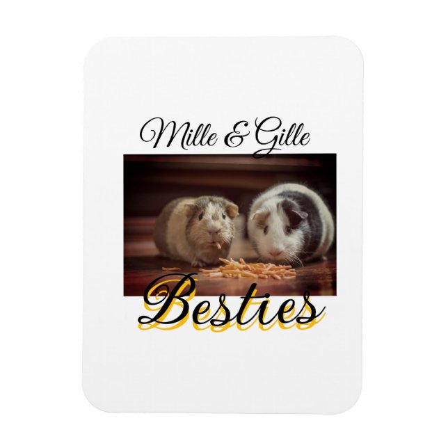 Pet friends besties add name pet photo animal love magnet (Vertical)