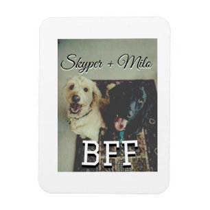 Pet friends besties add name pet photo animal love magnet