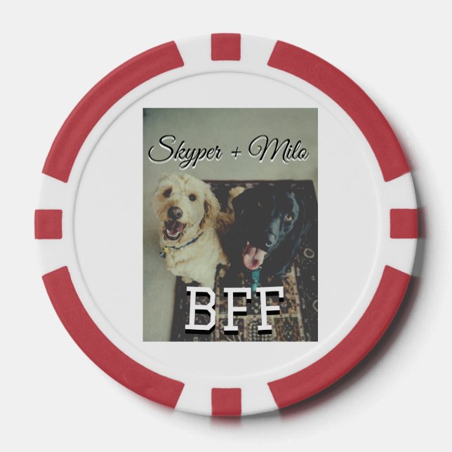Pet friends besties add name pet photo animal love poker chips (Front)