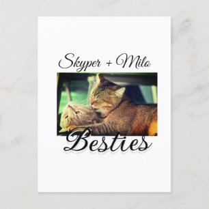 Pet friends besties add name pet photo animal love postcard