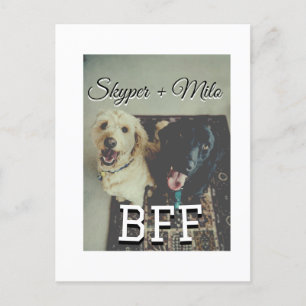 Pet friends besties add name pet photo animal love postcard