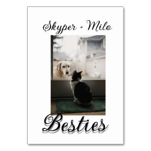 Pet friends besties add name pet photo animal love table number