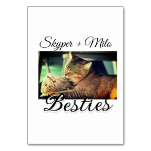 Pet friends besties add name pet photo animal love table number