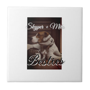 Pet friends besties add name pet photo animal love tile
