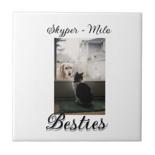 Pet friends besties add name pet photo animal love tile