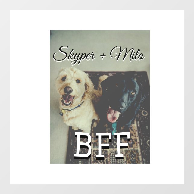 Pet friends besties add name pet photo animal love window cling (Sheet)