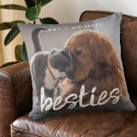 Pet Friends Dog & Cat Photo Gift Cushion<br><div class="desc">Celebrate the special bond between your pets with the Pet Friends Dog & Cat Photo Gift Throw Pillow. This customisable pillow allows you to showcase your favourite photos of your furry friends, featuring both a dog and a cat. Perfect for any pet lover, this throw pillow adds a personal touch...</div>