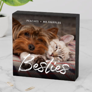 Pet Friends Dog Dad Cat Mom Gift BFF Besties Photo Wooden Box Sign