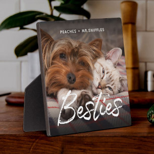 Pet Friends Dog Dad Cat Mum Gift BFF Besties Photo Plaque