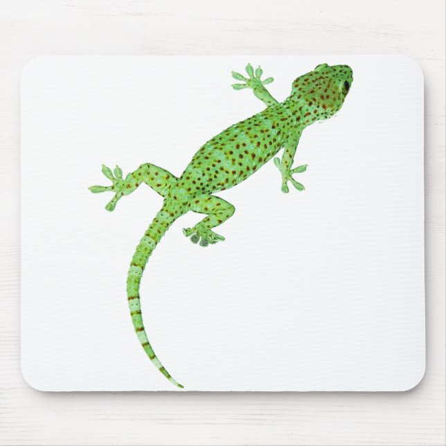 Pet Gecko Lizard design Mouse Mat (Front)