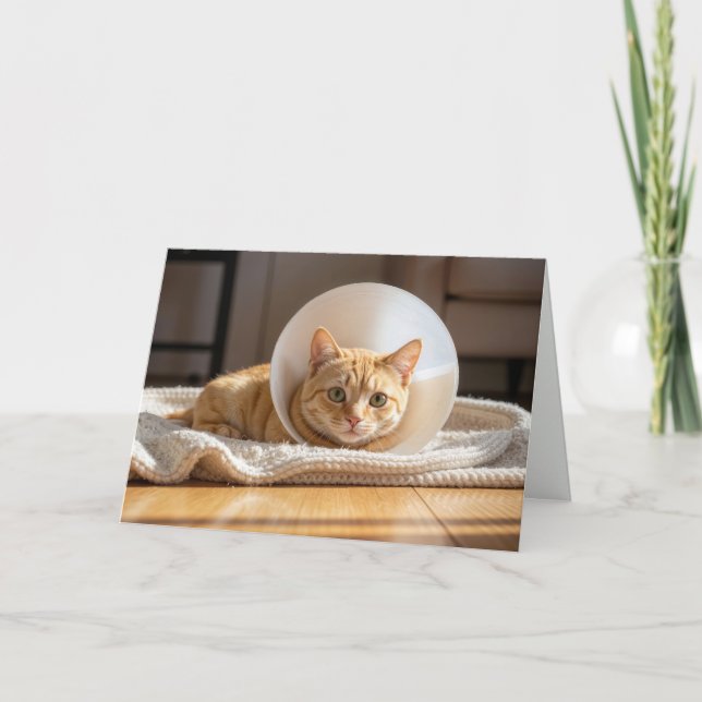 Pet Get Well Ginger Cat Wearing a Cone of Shame Card (Front)