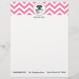 Pet Groomer Business Letterhead Paper
