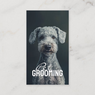 Pet Groomer Salon Care Bedlington Terrier Portrait Business Card