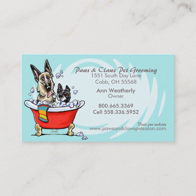 Pet Groomer Spa Wet Dogs Carribean Appointment Card (Front)