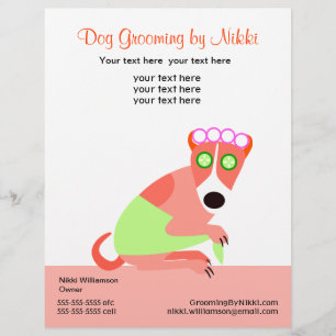 Pet Groomer's Promotional Flyer