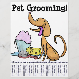 Pet Grooming! Flyer