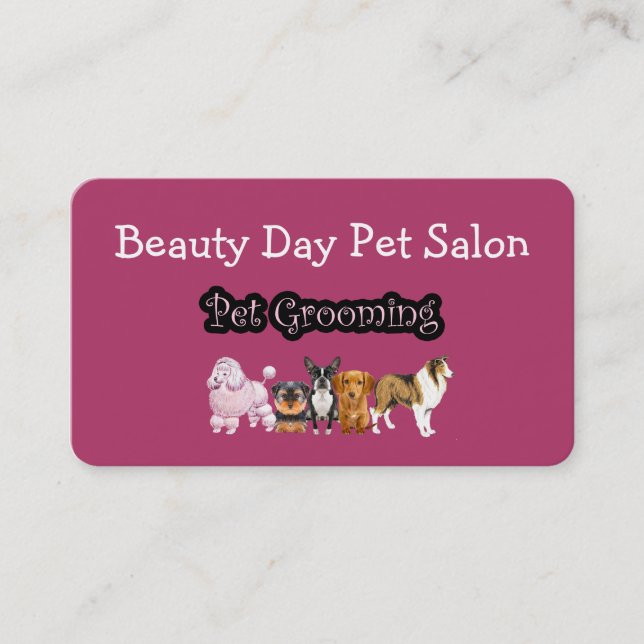 Pet Grooming Modern Businesscards Business Card (Front)