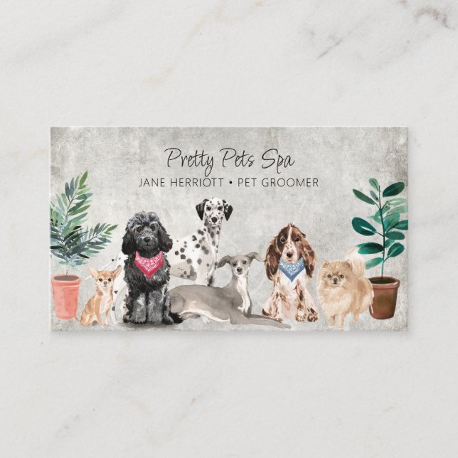 Pet Grooming Pet Spa Business Card (Front)