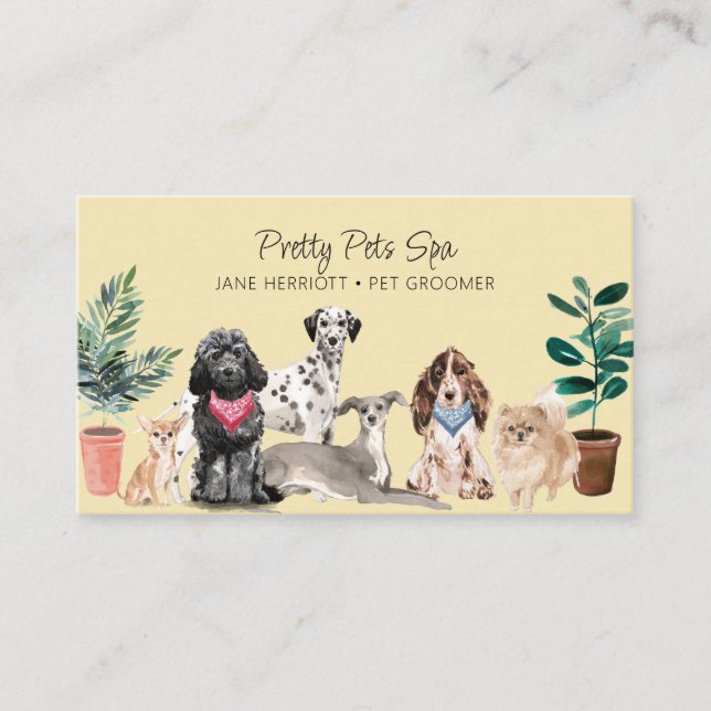 Pet Grooming Pet Spa Business Card (Front)