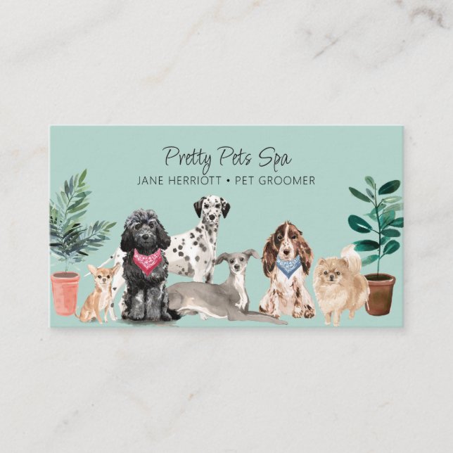 Pet Grooming Pet Spa Business Card (Front)
