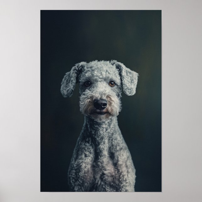 Pet Grooming Salon Bedlington Terrier Portrait Poster (Front)