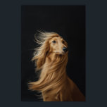 Pet Grooming Salon Boutique Afgan Hound Portrait Poster<br><div class="desc">Pet Grooming Salon Boutique Afgan Hound Portrait Poster. Perfect decor for your pet care clinic or boutique salon. You can find more various dog breed portraits in our main PET STYLE collection.</div>