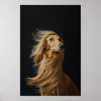 Pet Grooming Salon Boutique Afgan Hound Portrait